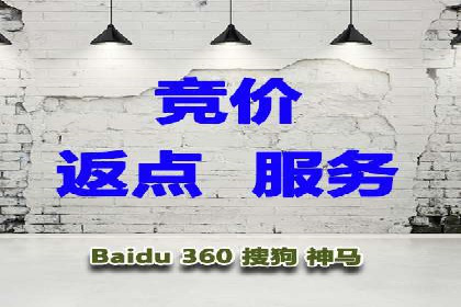 百度竞价托管外包案例：打造行业领军品牌