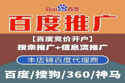 行业领先企业的SEM推广代运营实战经验